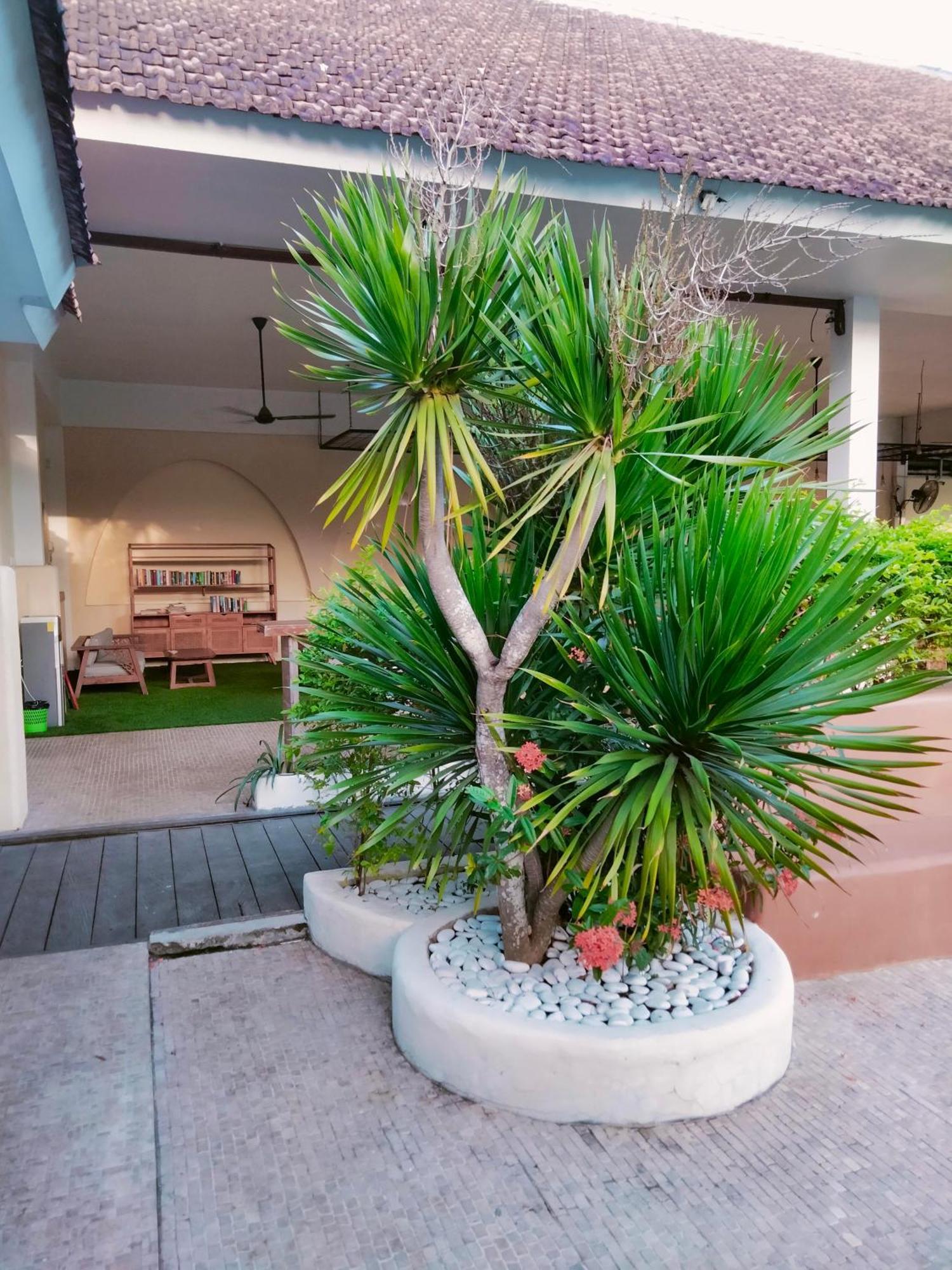 Gatsby Hotel Hostel Uluwatu  Ngoại thất bức ảnh